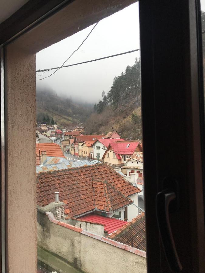Casa Mountain View Villa Брашов Екстериор снимка