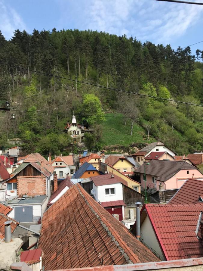 Casa Mountain View Villa Брашов Екстериор снимка