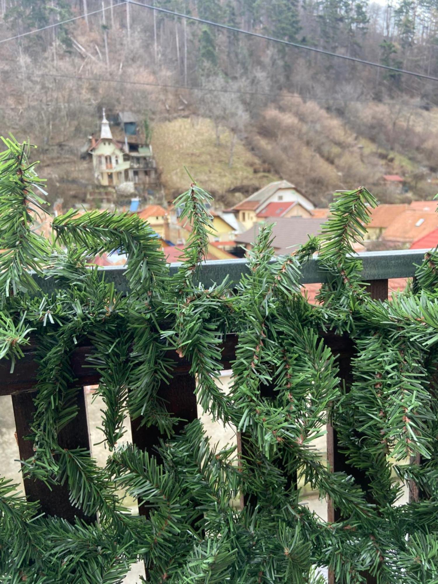 Casa Mountain View Villa Брашов Екстериор снимка
